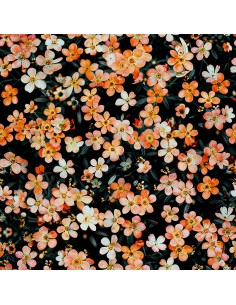 OUTDOOR DEKOSTOFFE OXFORD - Motiv Blumen I DX5205