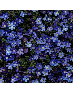 OUTDOOR DEKOSTOFFE OXFORD - Motiv Blumen I DX5209