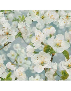 OUTDOOR DEKOSTOFFE OXFORD - Motiv Frühling I DX7192