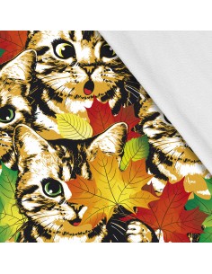 Softshell Stoff Polyester Zum Nähen- Motiv Katzen I SDX1666