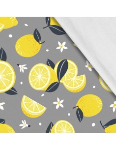 Softshell Stoff Polyester Zum Nähen- Motiv Frucht I SDX919-1