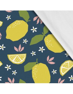 Softshell Stoff Polyester Zum Nähen- Motiv Frucht I SDX927