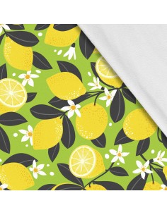 Softshell Stoff Polyester Zum Nähen- Motiv Frucht I SDX949-1