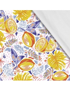Softshell Stoff Polyester Zum Nähen- Motiv Frucht I SDX961