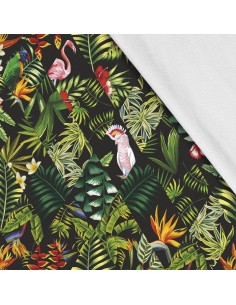 Softshell Stoff Polyester Zum Nähen- Motiv Vögel I SDX158