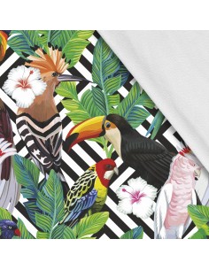 Softshell Stoff Polyester Zum Nähen- Motiv Vögel I SDX169