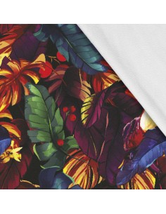 Softshell Stoff Polyester Zum Nähen- Motiv Vögel I SDX265