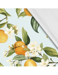 Softshell Stoff Polyester Zum Nähen- Motiv Frucht I SDX2607