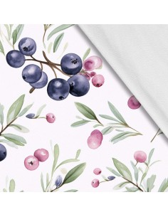 Softshell Stoff Polyester Zum Nähen- Motiv Frucht I SDX2955