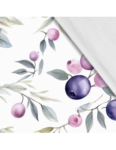 Softshell Stoff Polyester Zum Nähen- Motiv Frucht I SDX2985