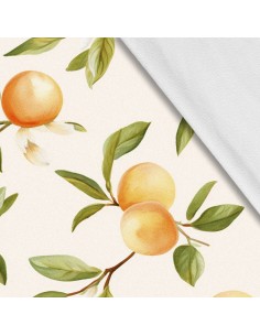Softshell Stoff Polyester Zum Nähen- Motiv Frucht I SDX2998