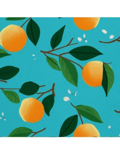 OUTDOOR DEKOSTOFFE OXFORD - Motiv Obst | DX6095