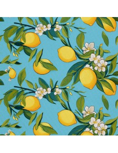 OUTDOOR DEKOSTOFFE OXFORD - Motiv Obst | DX6129