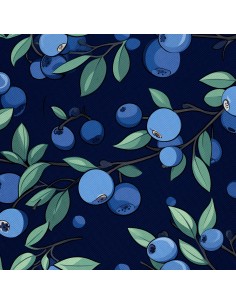 OUTDOOR DEKOSTOFFE OXFORD - Motiv Obst | DX6282