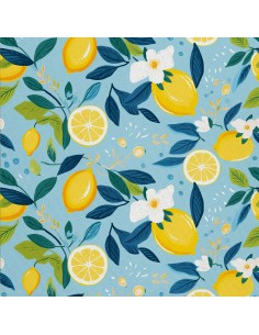 OUTDOOR DEKOSTOFFE OXFORD - Motiv Obst | DX6538
