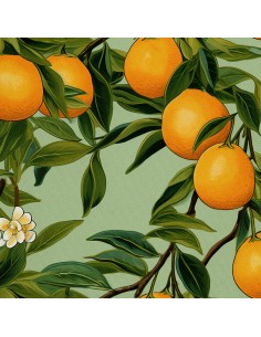 OUTDOOR DEKOSTOFFE OXFORD - Motiv Obst | DX6631