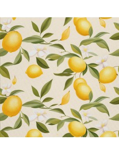 OUTDOOR DEKOSTOFFE OXFORD - Motiv Obst | DX6632