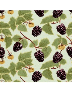 OUTDOOR DEKOSTOFFE OXFORD - Motiv Obst | DX6726