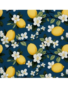 OUTDOOR DEKOSTOFFE OXFORD - Motiv Obst | DX6771
