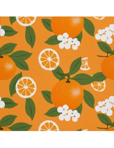 OUTDOOR DEKOSTOFFE OXFORD - Motiv Obst | DX6909