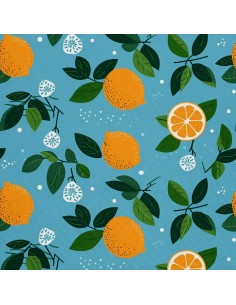 OUTDOOR DEKOSTOFFE OXFORD - Motiv Obst | DX6985