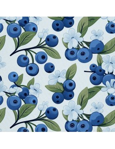 OUTDOOR DEKOSTOFFE OXFORD - Motiv Obst | DX7031