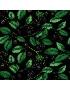 OUTDOOR DEKOSTOFFE OXFORD - Motiv Obst | DX7038