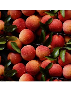 OUTDOOR DEKOSTOFFE OXFORD - Motiv Obst | DX6214
