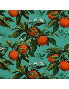 OUTDOOR DEKOSTOFFE OXFORD - Motiv Obst | DX6306