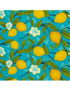 OUTDOOR DEKOSTOFFE OXFORD - Motiv Obst | DX6376