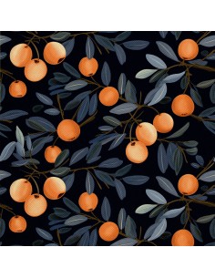 OUTDOOR DEKOSTOFFE OXFORD - Motiv Obst | DX6381