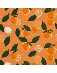 OUTDOOR DEKOSTOFFE OXFORD - Motiv Obst | DX6448