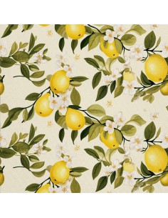OUTDOOR DEKOSTOFFE OXFORD - Motiv Obst | DX6466