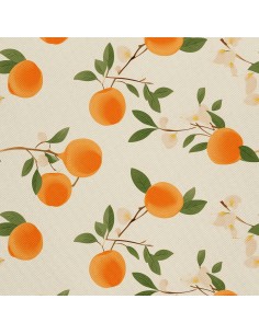 OUTDOOR DEKOSTOFFE OXFORD - Motiv Obst | DX6491