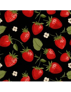 OUTDOOR DEKOSTOFFE OXFORD - Motiv Obst | DX6811