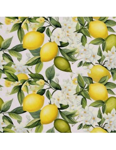 OUTDOOR DEKOSTOFFE OXFORD - Motiv Obst | DX6836