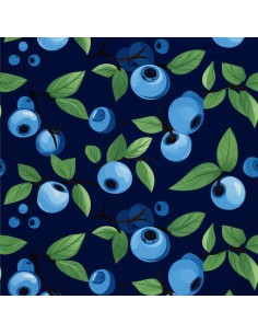 OUTDOOR DEKOSTOFFE OXFORD - Motiv Obst | DX6969