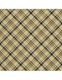 OUTDOOR DEKOSTOFFE OXFORD - Motiv kariert 12