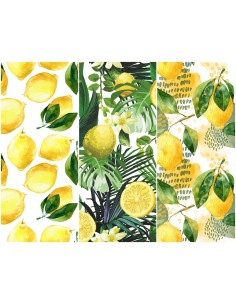 Heko Panels Stoff Panel Wasserdicht Mit 3 Mustern Canvas-Stoff Polyester Stoff Zum Nähen - Frucht