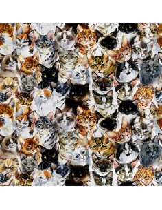 Royal Samt Stoff Polyester Zum Nähen - Motiv gemalte Katzen
