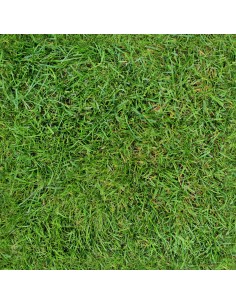 Royal Samt Stoff Polyester Zum Nähen - Motiv Gras